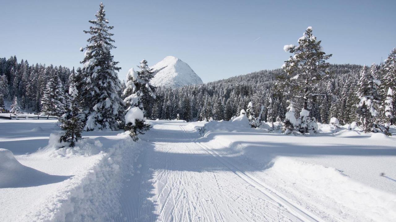 Haus Excelsior Top 29 Seefeld w Tirolu Zewnętrze zdjęcie