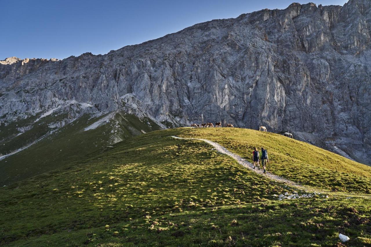 Haus Excelsior Top 29 Seefeld w Tirolu Zewnętrze zdjęcie